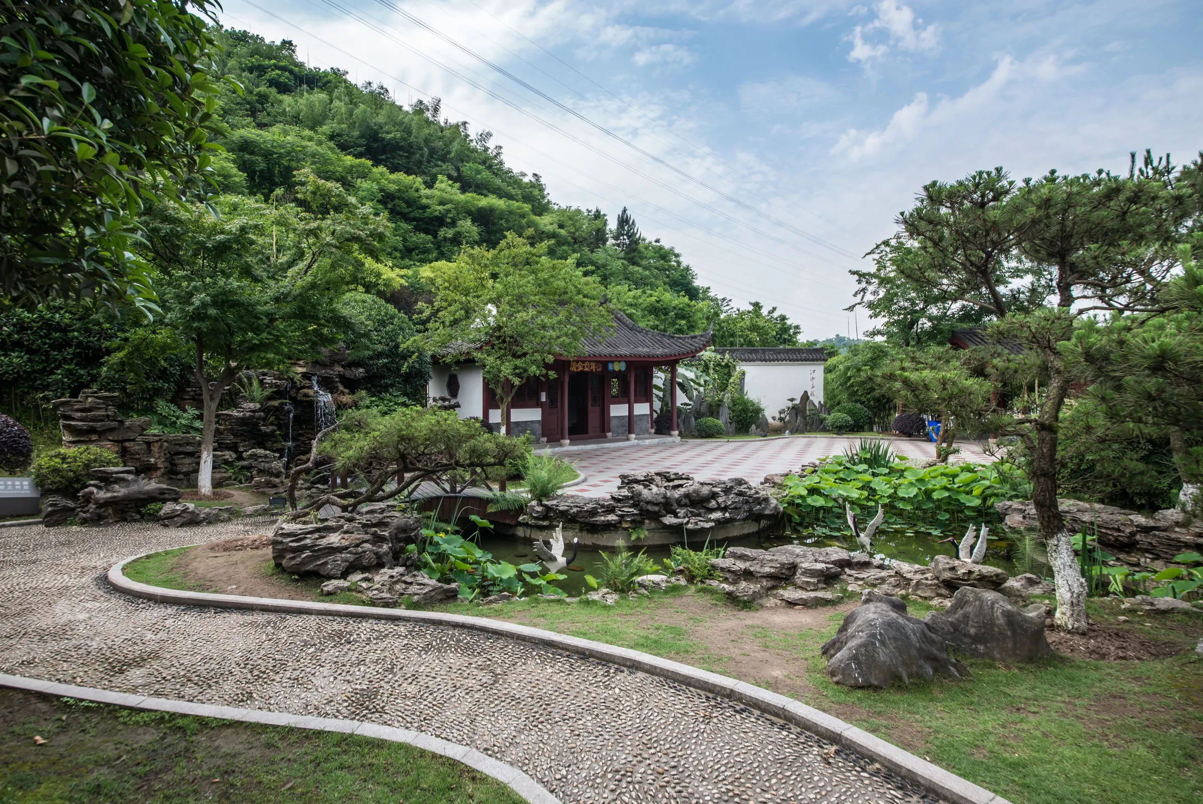 3D Landscape Design project by Rare Landscapes